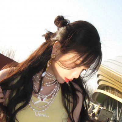 我的会长大人海报